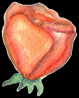 紅橙花蕊透明裝飾素材