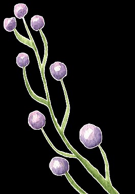 紫色花枝透明裝飾素材