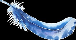 水藍(lán)羽毛透明裝飾素材