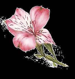 紅心花蕊透明裝飾素材