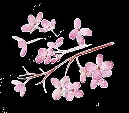 粉花蝴蝶透明裝飾素材