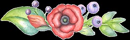 燦爛花叢透明裝飾素材