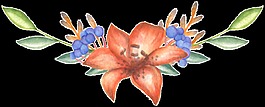 三色花叢透明裝飾素材