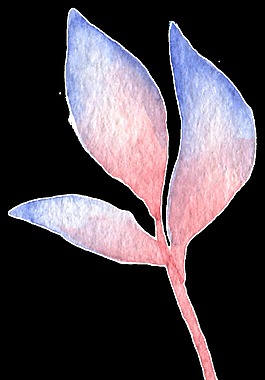 藍紋花葉透明裝飾素材