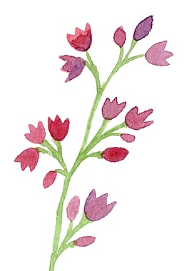 三葉花束psd源文件
