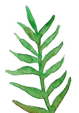 兒童繪畫綠色植物psd源文件