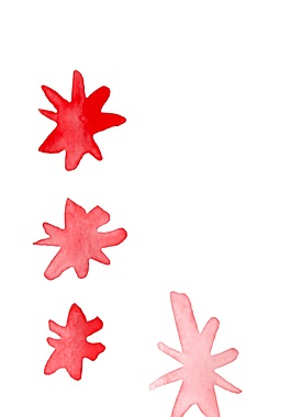 粉紅雪花psd源文件