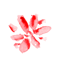 凝聚紅花psd源文件