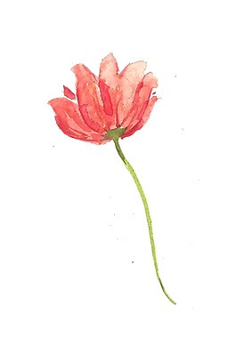 精致花卉psd源文件