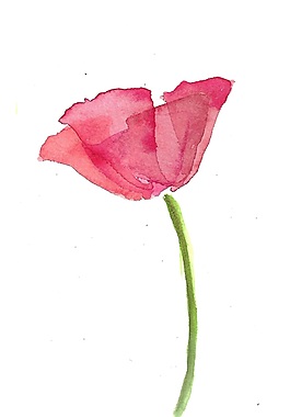 優(yōu)雅花卉psd源文件