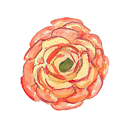 嫵媚花朵psd源文件
