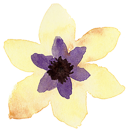 黃色花蕾psd源文件