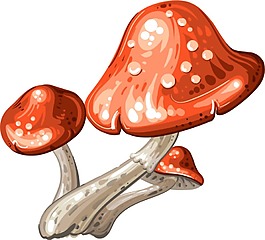手繪抽象蘑菇元素
