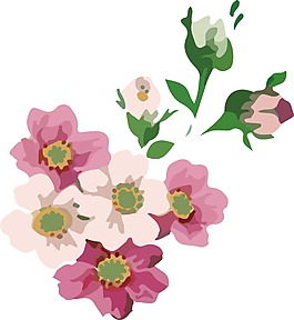 清新彩色花朵元素
