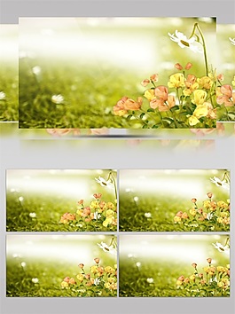 青色草地鉛筆畫高清視頻素材