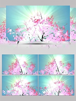 粉色花朵小清新高清視頻素材