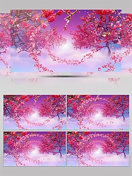 唯美櫻花高清視頻素材