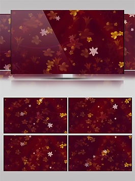 紅色楓葉高清視頻素材