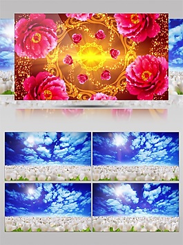 清新藍天花田高清視頻素材