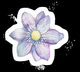 紫白花瓣透明裝飾素材