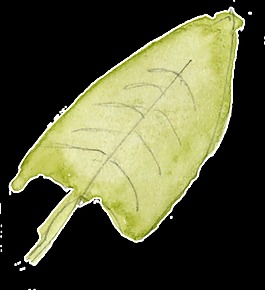一葉扁舟透明裝飾素材