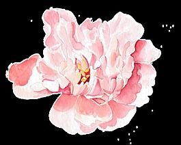 粉色花瓣透明裝飾素材
