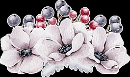 葡萄花蕊透明裝飾素材