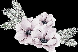 酒白花瓣透明裝飾素材