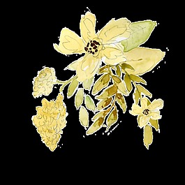秋黄花蕊透明装饰素材