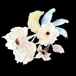 白蘭花束透明裝飾素材
