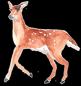 資樣小鳥(niǎo)透明裝飾素材
