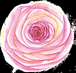 蛋黃花蕊透明裝飾素材