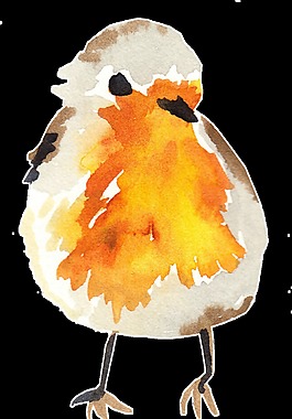 蛋黃小鳥(niǎo)透明裝飾素材
