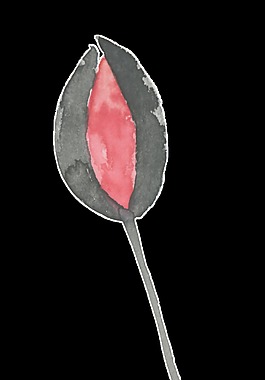 紅色桃花透明裝飾素材