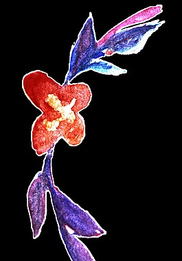 紅花枝葉透明裝飾素材