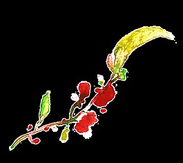 紅色花枝透明裝飾素材