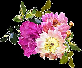 脆紫花蕊透明裝飾素材
