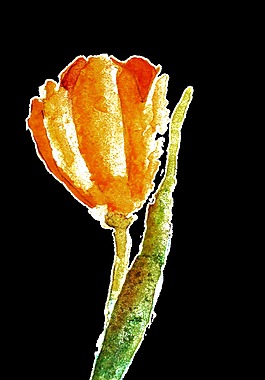 金黃花蕊透明裝飾素材