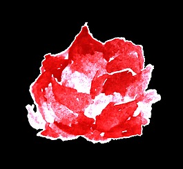 殘紅花蕊透明裝飾素材