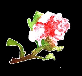 酒紅花枝透明裝飾素材