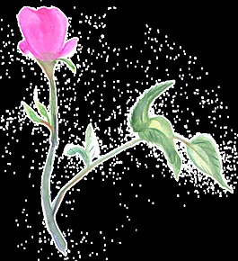 愛心花枝透明裝飾素材