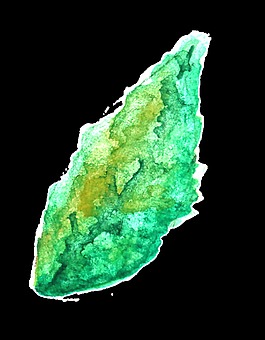 翠绿枝叶透明装饰素材