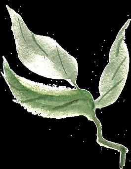 淡舞枝葉透明裝飾素材