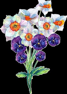 白紫花束透明裝飾素材