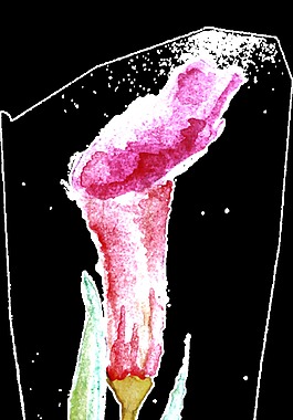 花束酒杯透明裝飾素材