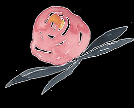 紅花枝葉透明裝飾素材