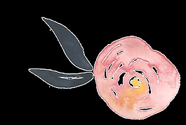 芬黄花朵透明装饰素材