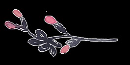 水墨花枝透明裝飾素材