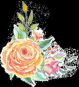 橙黃花蕊透明裝飾素材