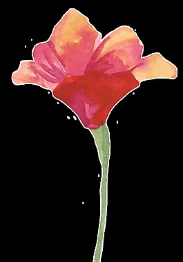 金紅花葉透明裝飾素材